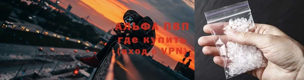 spice Белокуриха