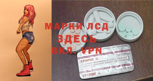 spice Белокуриха