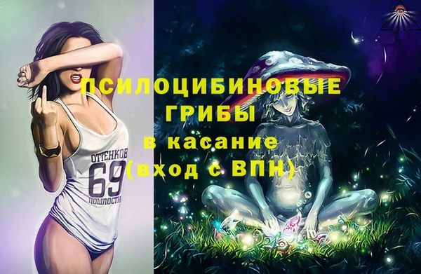 spice Белокуриха